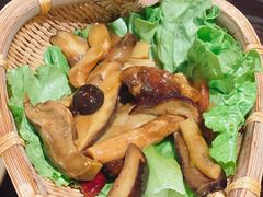 -滇野云南野生菌餐厅(陕西南路店)