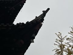 -梅园