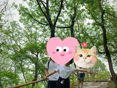 -北京上方山国家森林公园