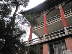 -中山大学学者灵芝(园南路店)