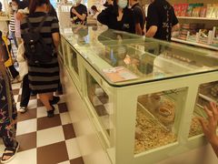 -龙猫仔乐园(惠福东路店)