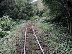 -济州森林小火车生态公园