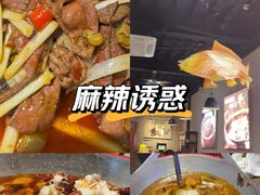 -向川南·水煮鱼·川菜(和平里店)
