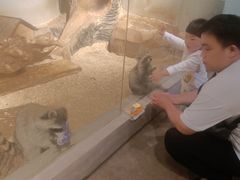 -昆明大悦城未来动物城(螺蛳湾中心店)