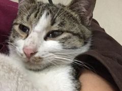 -芭比堂动物医院广州顽皮分院