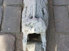 -沈阳市东陵公园