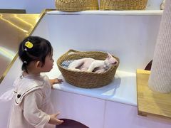 -爪爪喵星球·猫舍(前海卓越店)