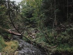 -峡谷浮石林景区