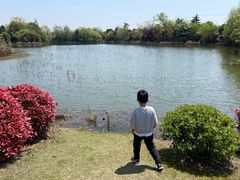 -桃花岛景观公园