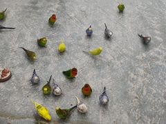 -荆州中山公园动物园