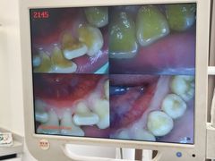 -上海康怡口腔门诊部Alpha Dental