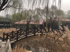 -济南国际园博园