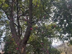 -四里河滨水生态公园