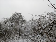 -九峰山