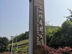 -铁山坪森林公园