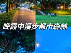 -深圳湾公园(南山区)