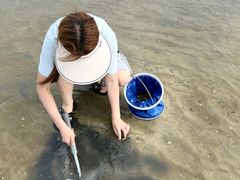 -北海金海湾红树林生态旅游区