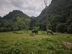-五泄景区