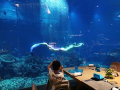 -海棠湾洲际-涛·海底餐厅·美人鱼·自助餐·海底隧道