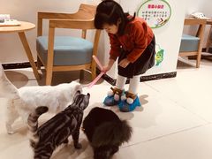 -藏猫猫咖啡主题馆(中央大道店)