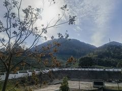 -余姚阳明温泉山庄