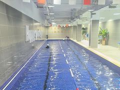-小蓝鲸游泳培训基地(积水潭店)
