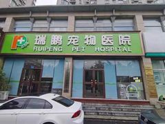 -瑞鹏宠物医院·内科·中兽医·骨科(苗圃店)