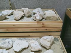 -抱璞文化展示中心