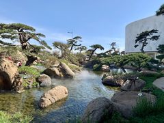 -罗红摄影艺术馆