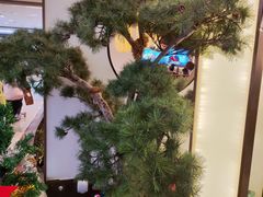 -望湘园·洞庭渔宴(永旺店)