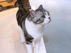 -小时光咖啡馆(开森度假森林店)