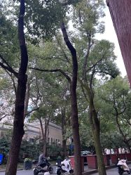 -CASTER跳舞俱乐部