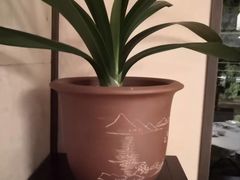 -杭州香格里拉·香宫中餐厅