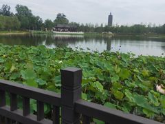 -西海子公园