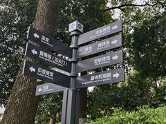 -南山植物园