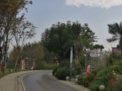 -三圣花乡旅游区