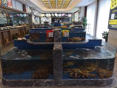 水产区-骏莱海鲜鱼港(五角场店)