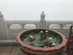 -宝莲禅寺