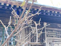 -颐和园