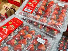 -山姆会员商店(亦庄创意生活广场店)