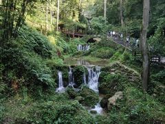-青城山