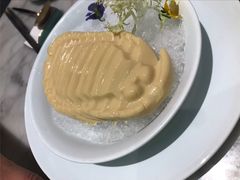 冰镇素鲍鱼-蝶园·装修中(BFC外滩金融中心店)