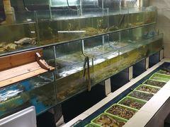 水产区-大海山·十八年海鲜闽菜(金港店)