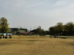 -秀丽东方