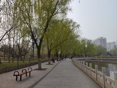 -莲花池公园