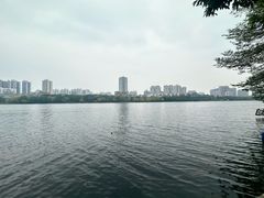 -南宁南湖公园