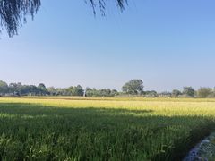 -长兴太湖图影湿地文化园