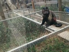 -石家庄市动物园