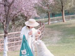-秀丽东方