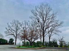 -牛角浜-44号停车场